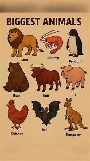 Old Earth Videos 🌍 | Follow @prehistorichorror @prehistorichorror for more 🌍 The Concept of “Old Earth” ⏳ The “Old Earth” perspective holds that our planet is... | Instagram