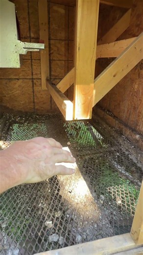 Fresh air underneath, happy chickens up above. #ChickenCoop #mobilechickencoop #diychickencoop