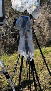 29K views · 10K reactions | No matter the launch, it’s always a...