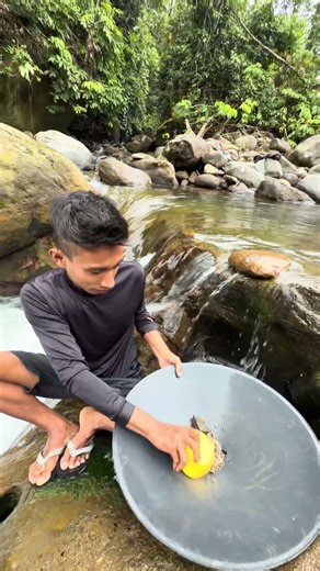 Discovery hunter pure gold😱✅ #fish #COD