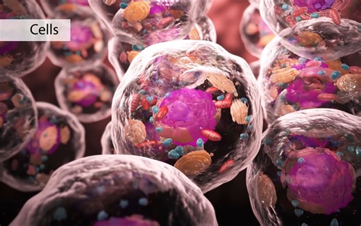 【中英字幕】01 Overview of Cell Structure 细胞结构概述