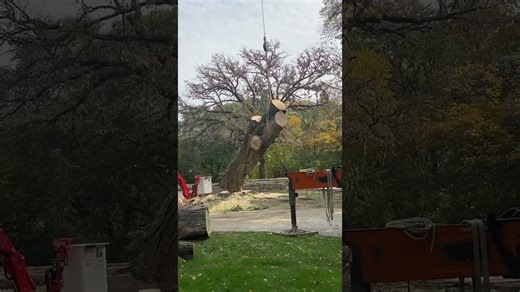 I turned big silver maple logs into art! 🌳