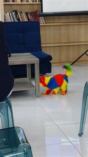 This cute dog is having fun playing indoors