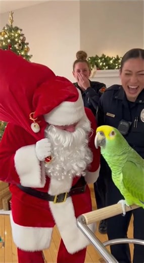 Santa vs Police? Nope… Green Parrot Steals the Show! 😭😂