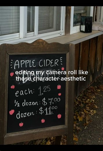 got the biggest inspo from: @janelle malaiba! #character #aesthetic #romcom #edit