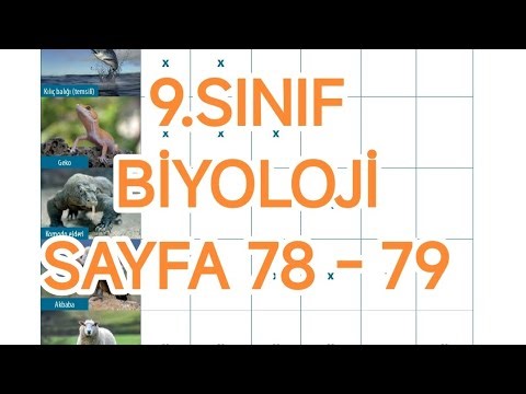 9TH GRADE BIOLOGY TEXTBOOK PAGE 78 - 79 ANSWERS