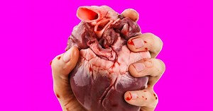 What is love? Science kinda has the answer