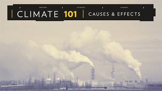What are the effects of global warming?