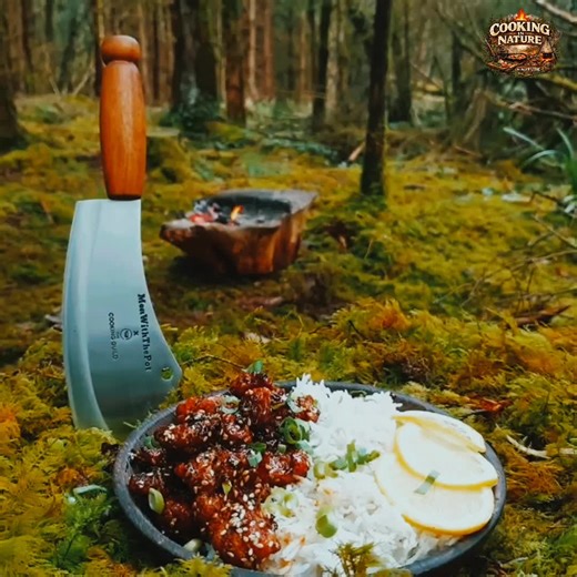 #TikTokCreatorSearchInsightsIncentive Nature is my kitchen 🌿🔥 Outdoor cooking, real flavor, real freedom. Nature's Kitchen Secrets, Wilderness Gourmet Feast, Fire Cooked Meals ASMR #outdoorkitchen #campfirecooking #naturefood #survivalcooking