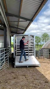Demonstrating the M-Tec Engineering sheep decks available on all twin and tri axle trailers. 📞 0044 7739043235 for more info #sheeptrailer #sheep | Farm Compare