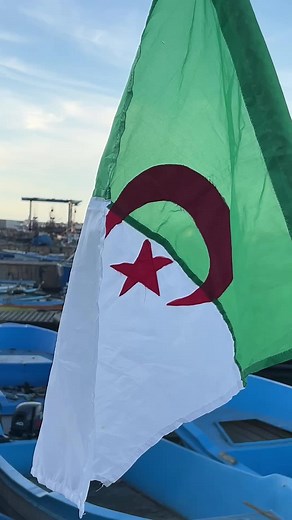 1.2.3 Vive 🇩🇿🇩🇿🇩🇿 . #dz #algerienne🇩🇿 #الجزائر #algerie🇩🇿 #africa