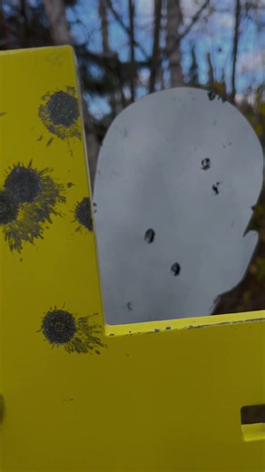 Pistol Hit Demo: How a Bullet Rolls Into the Hostage Target