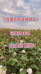 完整版《我要去新疆种棉花》