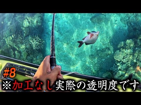[#8] Cast and you'll catch a fish! The beautiful calm waters of Okinawa were amazing! [Car Campin...
