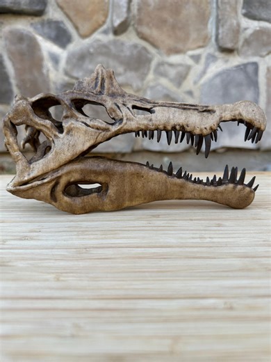Spinosaurus Dinosaur Skull Bone Fossil Replica - Etsy