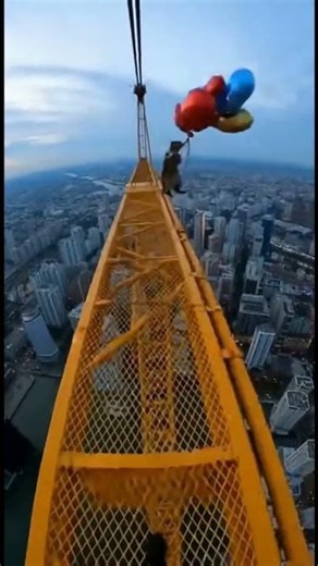 Saving a Flying Cat from a Viral Prank😱