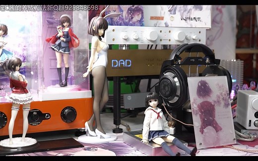 2K价位最好的桌面HIFI一体机方案试听 HD800S耳机