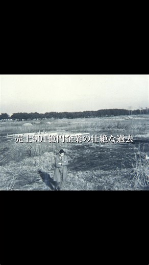日建リース工業の56年の歩み