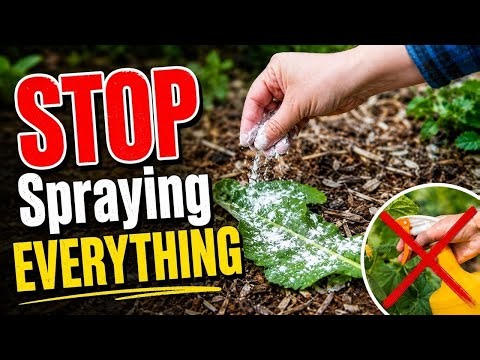 5 Natural Ways We Control Garden Pests