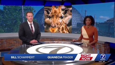 Omaha's Henry Doorly Zoo mourns death of a beloved member of giraffe herd