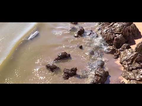 This is how Artist created CGI Beach, Wave simulatedin Houdini