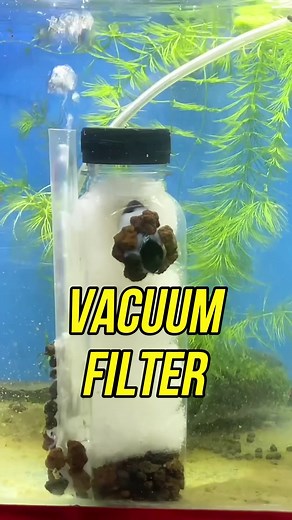 Save money use DIY vacuum Aquarium Filter easy to do best for cleaning your aquarium cheap and enviromental friendly fullvideo in my Youtube Channel: BiTEN #spongefilter #aquarium #aquariumfilter #hobfilter #submersiblefilter #submersiblepump #DIY #aquariumfish #betta #fightfingfish #goldfish #guppyfish #molly #platty #howto #fyp #POV