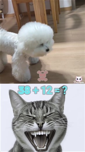 Curious Kitten Taps It… and the Balloon Lights Up 😺🎈