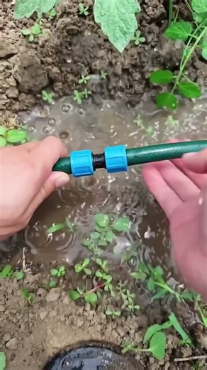 💧 Drip Tape Repair Connector | Fast Leak Fix for Efficient Irrigation Systems #farming #viral