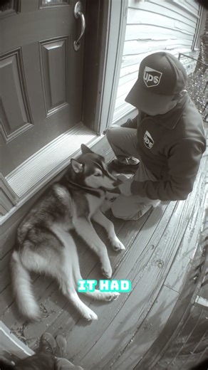 The UPS Driver Is A hero