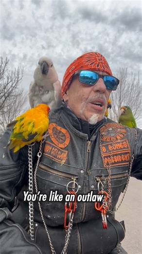 FailArmy on Instagram: "Ride out for the fails 🏍️🤘🔥 #motorcycle #bikers #fail #comedy #funny #crashout"