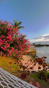 Easy like Sunday morning at Cambridge Beaches Resort & Spa 🌺 | Bermuda Tourism