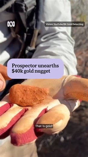 ABC Perth on Instagram: "#BestOf2025: A prospector has captured the incredible moment he literally struck gold in Western Australia's Goldfields and unearthed a seven-ounce nugget. Kevin Richardson, who runs an educational Youtube channel sharing his prospecting tips and tricks, was demonstrating the importance of searching under bushes when his metal detector started beeping loudly. 📝 Andrew Collins via WA Regional Drive 🎬 Tim Carrier 📹 YouTube/BK Gold Prospecting ℹ️This post is part of our