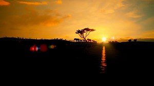 Tanzania Unveiled: Stunning Landscapes Captured by Drone