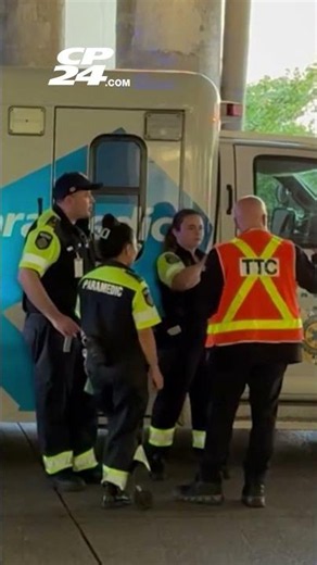 TTC employee taken to hospital after assault call at Wilson Station