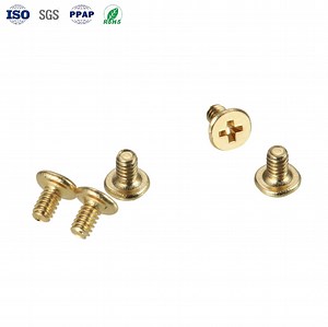 [Hot Item] High Quality Ultra Small Miniature Phillips Flat Head Brass Screws