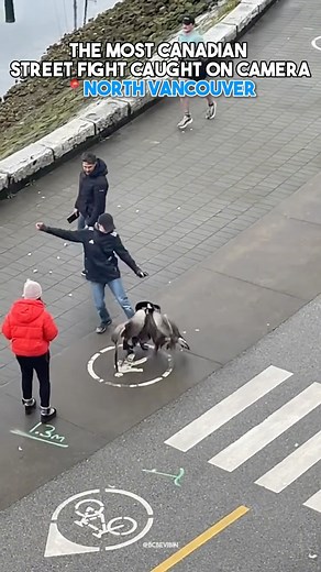 9.5K views · 18 reactions | Canadian street fight caught on camera 藍 Follow @bcbevibin for more BC content TT: Lauryn.jpp | BCbevibin | Facebook