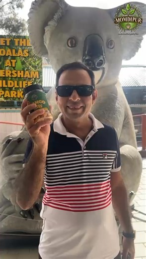 Crunchy, chewy and naturally sweet—our Momdipur Mango Bites are premium dehydrated mango slices made with no preservatives or additives. Packed with vitamins and organic goodness | MomdiPur