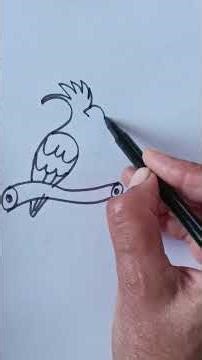 how to draw beautiful and easy bird with 3