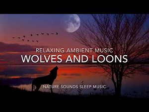 LOONS And Wolves / Loon Calls For Relaxing; With MUSIC