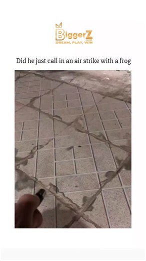 𝗗𝗢𝗢𝗠𝗘𝗗 ⚠ | #biggerz The video depicts a frog reacting to a laser pointer. The red dot from the laser moves across a tiled floor, and the frog,... | Instagram