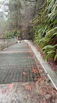 Granite Falls Fish Ladder. Atmospheric River in the Pacific Northwest. #washington #pnw #flood 12-10