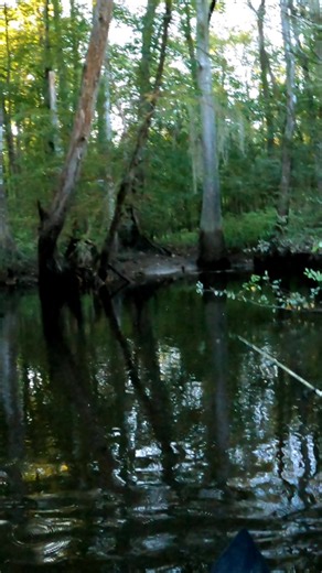 Minnow working it in am extreme way 🙌 #gopro #theminnow007 #bass #fishing #vlog | Milo Dickson