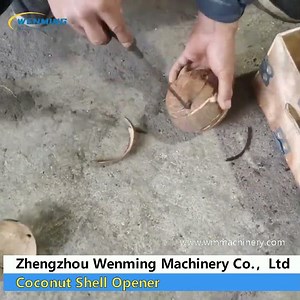Single-head Coconut Shell Opener #machine
