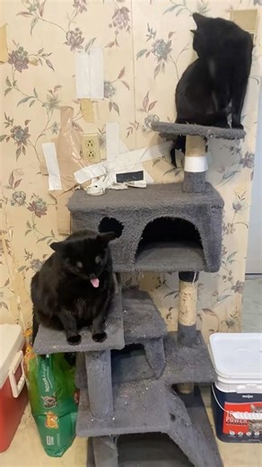 Cassie sitting below Kayla