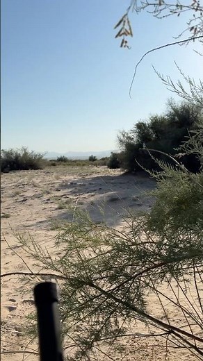 How to Call Coyotes #hunting #coyotehunting #coyotehunt #arizona