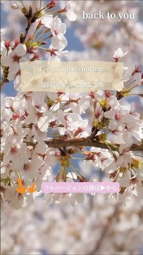 【洋楽playlist】春に聴きたい/爽やかな洋楽/心に響く音楽/和訳 #洋楽プレイリスト #プレイリスト #心に響く歌