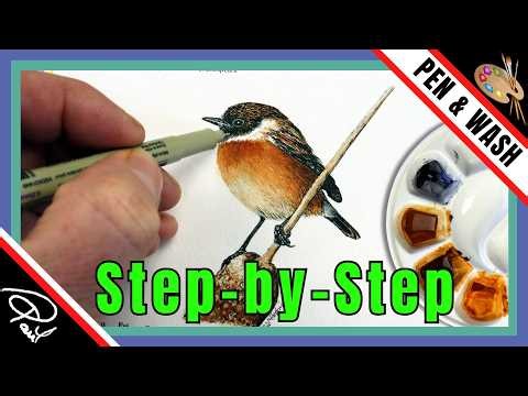 How to PAINT a BIRD (Beginner PEN & WASH Tutorial)