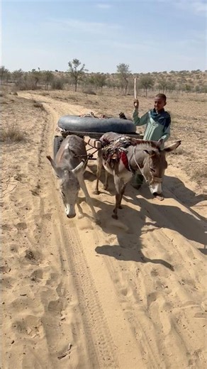 حياة البدو مع الإبل والماء في الصحراء 🌴🐪