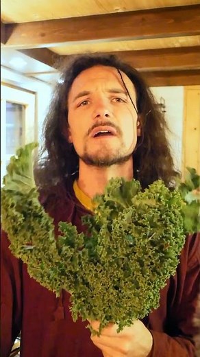My quick recipe for kale chips 🥬