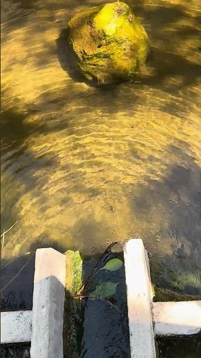 Nature ASMR: Relaxing Running Water Sounds